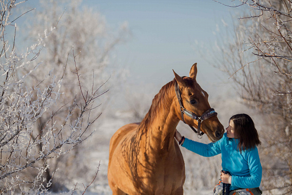 Продолжение следует…