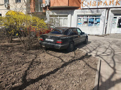Результаты первого в этом году масштабного субботника в Ростове оценили не все