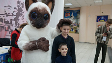 Как кошки-крошки год Собаки встречали