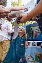 Вы помогли, спасибо!