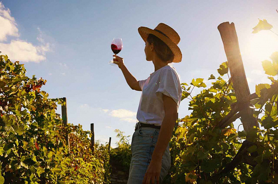 Ростовская область может войти в единую карту винных маршрутов