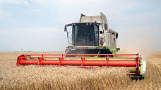 В Октябрьском (с.) районе уборку урожая ведут наперегонки  с дождем