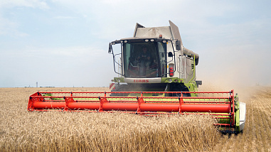 В Октябрьском (с.) районе уборку урожая ведут наперегонки  с дождем