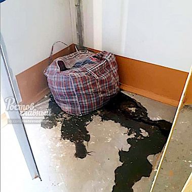 В ростовской многоэтажке в сумке нашли расчлененный труп собаки