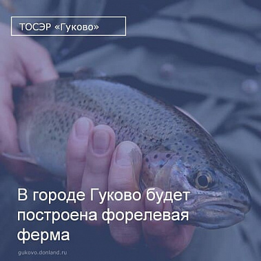 В Гуково будут выращивать форель