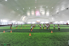 Не хлебом единым