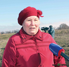 Хотели дешево, вышло – сердито