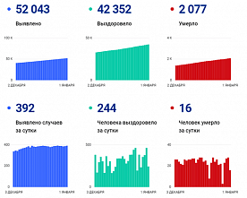 Коронавирус в Ростовской области: статистика на 1 января