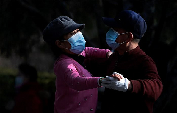 Хроники коронавируса: гориллы кашляют, генератор мутаций, в Ростов привезли партию вакцины