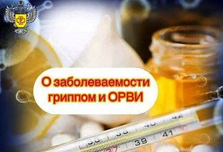 На Дону наблюдается спад заболеваемости гриппом и ОРВИ