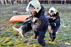 В поединке с зимой