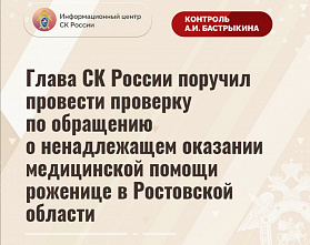 В СК России выясняют, почему роженица-дончанка стала инвалидом