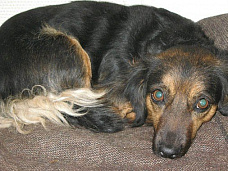 До новых встреч!_17377