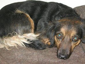 До новых встреч!_17377