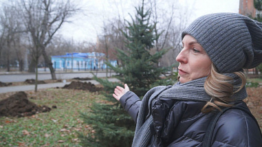 Собственница земельного участка на Зелёной в Ростове высадила 14 новых деревьев на проспекте Сельмаш