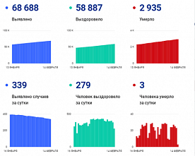 Коронавирус в Ростовской области: статистика на 14 февраля