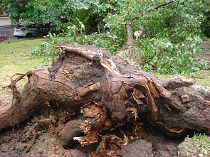 Последствия стихии в Ростове 30 июня 2016 г.