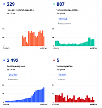 Коронавирус в Ростовской области: статистика на 6 февраля