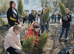 В Семикаракорске прошла акция «Аллея славы»