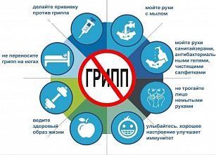Донской минздрав предупреждает о приходе свиного гриппа