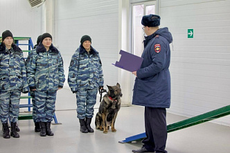 «Вегас» завершил карьеру...