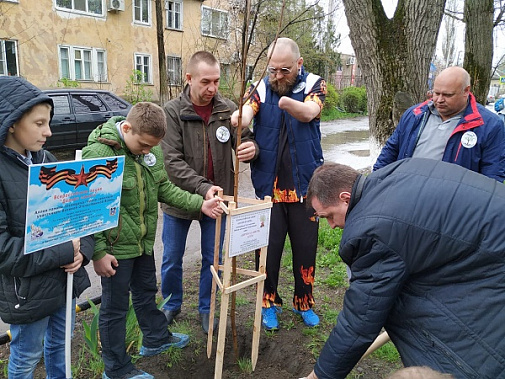 «Деревья памяти» сажают в Ростовской области