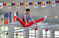 15 06 2025 В Ростове проходит турнир «Кубок олимпийского чемпиона Никиты Нагорного»