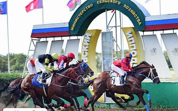 В попытках спасти Ростовский ипподром донские конники  обратились к властям через интернет
