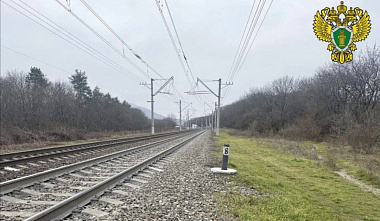 Злоумышленник, отрывший пальбу по электричке, предстанет перед судом