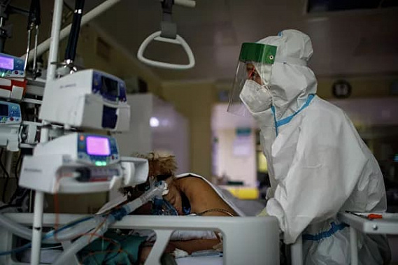 На Дону зарегистрировали 310 новых случаев COVID-19