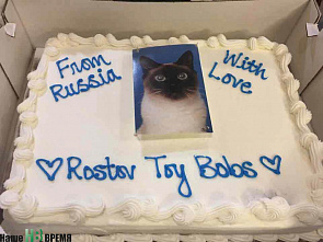 Как кошки-крошки Америку покоряли