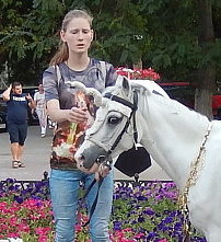 Лето в разгаре