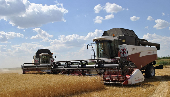 В Ростовской области уже собрали более 4 миллионов тонн зерна