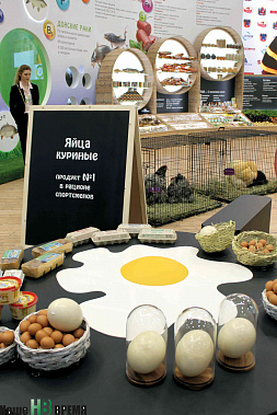 По производсту куриных яиц Ростовская область постоянно занимает одно из лидирующих мест в России. Страусиное яйцо – пока еще диковинка, экзотика. Но... будет спрос, будет и предложение.