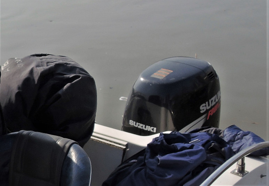 Введены запретные для вылова водных биоресурсов периоды