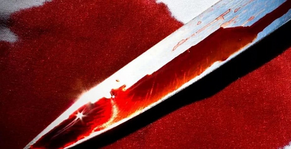 В Каменском районе задержали виновников зверского двойного убийства