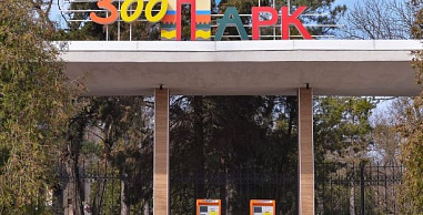 Ростовский зоопарк принят в Европейскую ассоциацию