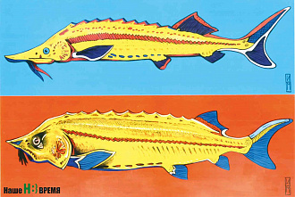 Ты его не бойся