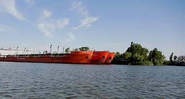 Донские депутаты предложили минимизировать последствия пагубного влияния коммерческих судов на биоресурсы