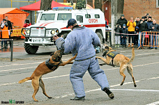 Росгвардейцы начали отмечать свой праздник