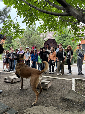 Ростовская полиция показала детям работу кинологов и их четвероногих напарников