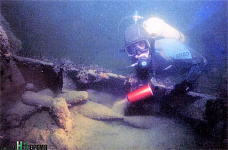 Школа для ихтиандров