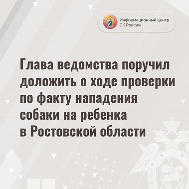 В Ростове-на-Дону стаффордширский терьер напал на девочку