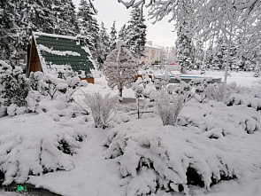 Зима – значит, снег!