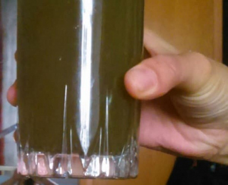 Проблемой «рыбной» воды в Ростове занялись на региональном уровне