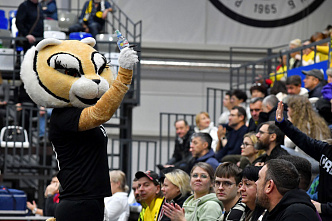 Гандболистки «Ростов-Дона» на своей площадке обыграли волгоградскую «Динамо-Синару»