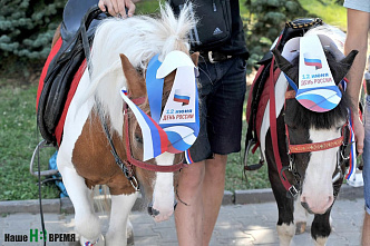 В Ростове отметили День России
