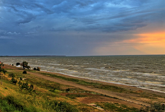 Источник фото: fikiwiki.com