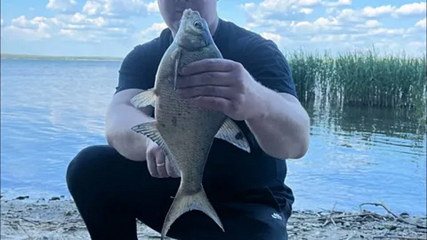 Источник фото: YouTube.