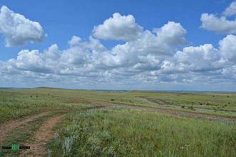 На экскурсию по Гуково и окрестностям